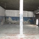 DSC06537