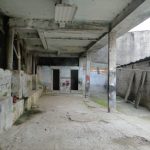 DSC07501